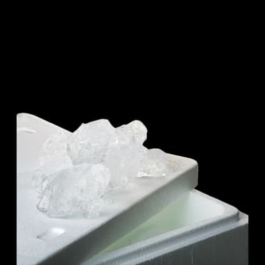 Norvégienne + Glace